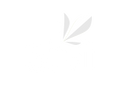 Stivii